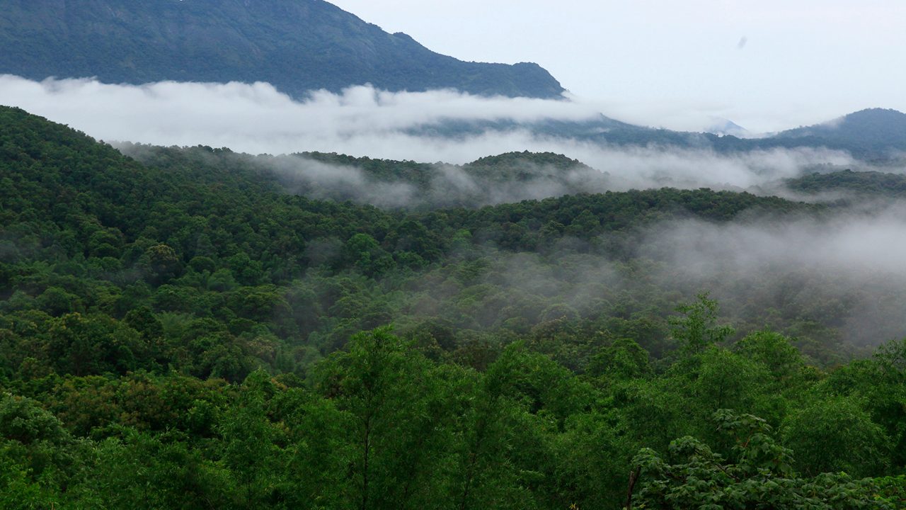 Silent Valley